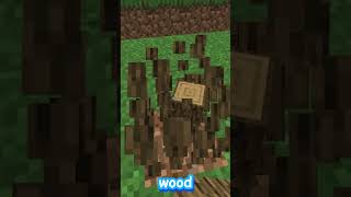 Minecraft But If You Subscribe I Die [upl. by Vernon316]