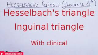 Hesselbachs triangle or inguinal triangle with clinical [upl. by Maryjane930]