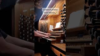 Farandole Bizet Version by Scottbrothersduo  Domorgel Fulda [upl. by Matthaus]