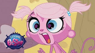 Littlest Pet Shop  ‘OmmmMG’ Original Short [upl. by Garmaise]