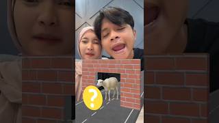 FILTER SUARA HEWAN SERU BANGET syifdam [upl. by Leyes]