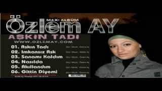 Özlem Ay  Gittin Diyemi Arabesk Version 2008 [upl. by Corbie]