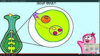 Plant Reproduction Amoeba Sisters WS 12 11 14 [upl. by Nylzzaj]