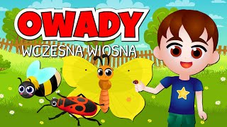 Owady dla dzieci Owady zwiastujące wiosnę  Film edukacyjny [upl. by Rialb]