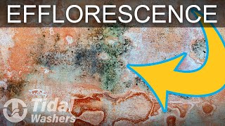 Efflorescence Brick Cleaning Techniques  Effective Power Washing Detergents [upl. by Lattonia]