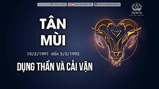 Tân Mùi 1991 mệnh gì  Dụng thần Bát tự tuổi Mùi  Thầy Khải Toàn  Phong thủy amp Thiền Định [upl. by Mitzl]