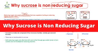 Why sucrose is non reducing sugar  Carbohydrates  Reducing sugar [upl. by Luther]