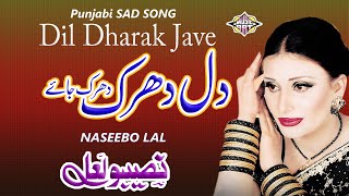 Dil Dharak Dharak Jaye  Naseebo Lal  MUSIC ART [upl. by Reivaj]