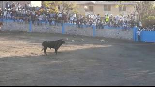 LO VOLVIÓ A HACER EL LATIGO NEGRO DEL PAISA DEL ATRAVESAÑO Jugada En Las Fuentes De Cortazar Gto [upl. by Issej]