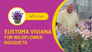 Eustoma Viviana for Trendy Wildflower Arrangements [upl. by Marcos]