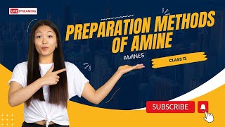 PREPARATION OF AMINE  CLASS 12  AMINES [upl. by Ynagoham]