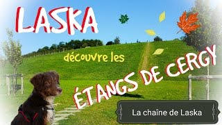 Laska découvre les étangs de Cergy 25 [upl. by Jerrie]