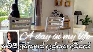 නවසීලන්තයේ ලස්සන දවසක්😍  සිංහල VLOG 55  New Zealand  Sri Lankan  Sinhala vlog [upl. by Jeggar]