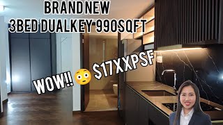 Brand New Freehold Project near Boon Keng 3bed Dualkey only 17xxpsf Unbelievable [upl. by Padegs69]