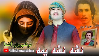 Pashto New Songs 2023  Nashah Nasha Yema  Nosherwan Ashna Songs  Pashto Songs 2023 [upl. by Seftton288]