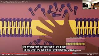 Intro to Biochemistry part 2  Lipids Proteins and Nucleotides [upl. by Omik593]