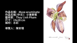 導覽系列Ep7│cc subtitles│小果野蕉Musa acuminata [upl. by Nauqel]