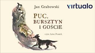 Jan Grabowski quotPuc Bursztyn i gościequot audiobook Czyta Artur Pontek [upl. by Barcus]