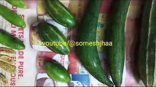 GOURDS गोर्ड Cucurbitaceae family कद्दू वर्गीय सब्जी गॉर्ड [upl. by Eulaliah]