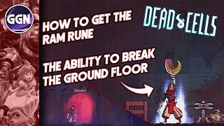 How to get the Ram Rune  The Ability to break the Ground Floors  Dead Cells [upl. by Andri97]