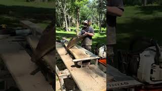 Slabbing Black Walnut with Stihl MS 661 amp Logosol F2 The Perfect Chainsaw Milling Combo [upl. by Adnahcal856]