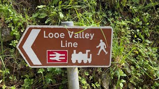 The Looe Valley Line Classic Scenic Eclectic Saturday 15th June 2024 [upl. by Platto]