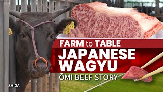 Japanese Wagyu Farm to Table  Omi Beef Story ★ ONLY in JAPAN [upl. by Dyl194]