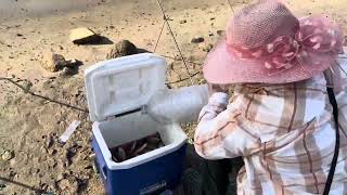 Lake Kaweah Fishing 08082024 Ep 132 [upl. by Steddman]