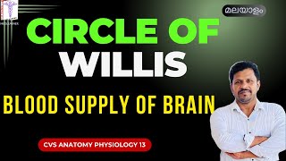 Circle of Willis Blood supply to Brain Cardiovascular system Anatomy Physiology Malayalam [upl. by Corvin750]