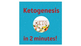 Ketogenesis and Ketones in 2 minutes [upl. by Loggia116]