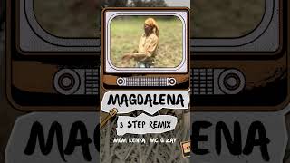 Magdalena remix world remix afrohouse [upl. by Pascoe661]