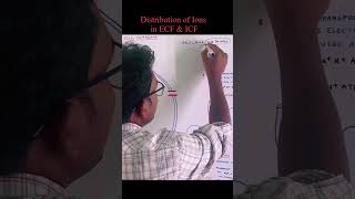 Distribution of Ions in Extra Cellular Fluid amp Intra Cellular Fluid [upl. by Ramel]