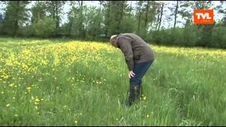 Lommel Natuurgebied De Watering [upl. by Lener]