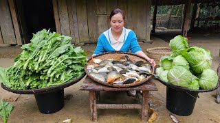 Harvest Fish amp Vegetables Cabbage Goes To Spring Festival Sell  Lý Thị Ca [upl. by Alyahsal]