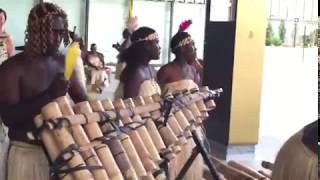 Music of Papua New Guinea Traditional Music [upl. by Bender]