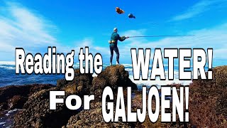 How to READ THE WATER FOR GALJOEN How to identify where Galjoen feed Fishing for GALJOEN TIPS [upl. by Adeline61]