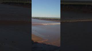 Tidal Bore  Moncton New Brunswick Canada [upl. by Ahsratal296]