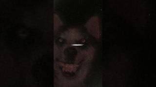 قصة smile dog الحقيقية 😨 [upl. by Gentry772]