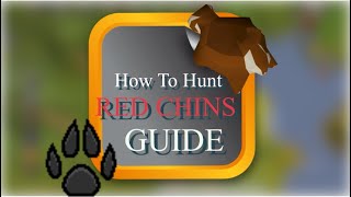 Quick Hunting Red Chinchompas Hunting Guide  Location OSRS [upl. by Rivy]