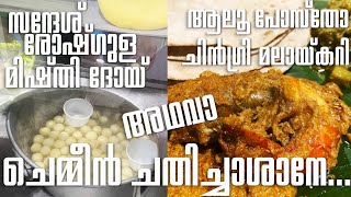 ബംഗാളി സ്വീറ്റ്‌സും കൊലയാളി ചെമ്മീനും  Mithai Kolkata  Kasturi Restaurant  Mishti Doi Sandesh [upl. by Nerti]