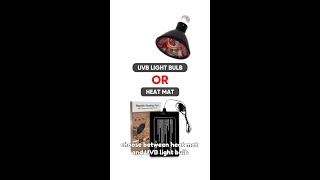 Choose between a heat mat or UVB bulb [upl. by Kal350]