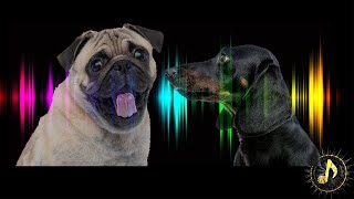 Dogs Barking Sound Effect  Sounds Dogs Love [upl. by Ellerey]