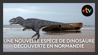 Une nouvelle espèce de dinosaure découverte en Normandie [upl. by Dijam]