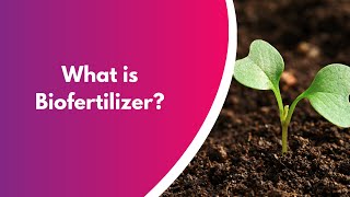 What is biofertilizers Get the actual concept of biofertilizers [upl. by Drofub]