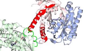 Adenylate cyclase activation with sound [upl. by Einnod]