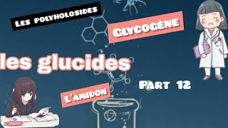 les glucides  les polyholosides part 12 [upl. by Herrington]