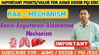 Renin Angiotensin Aldosterone system mechanism RAAS  RAA Mechanism  Nurses Tech Online [upl. by Bueschel]