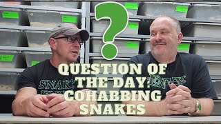 Why has cohabbing snakes become so uncommon [upl. by Nirol]