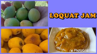 Fresh Loquat and Raw plum picking  Loquat Jam recipe  Delicious homemade jam recipe [upl. by Aicele]