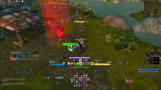 Shaman Tanks are too OP in WoW SoD [upl. by Eads]